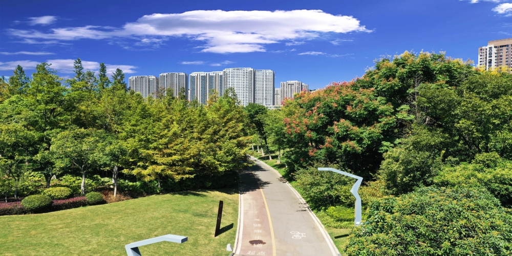 合肥廬陽區(qū)廬州公園一期綠化景觀養(yǎng)護